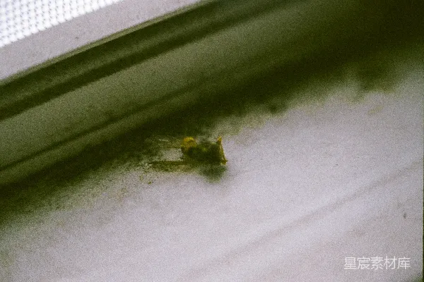高清摄影 窗台上的小黄蜂