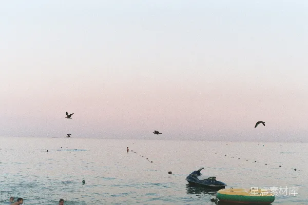 高清摄影 日落海景与飞鸟的宁静时光