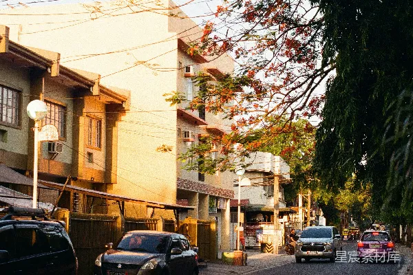 高清摄影 夕阳下的宁静街道