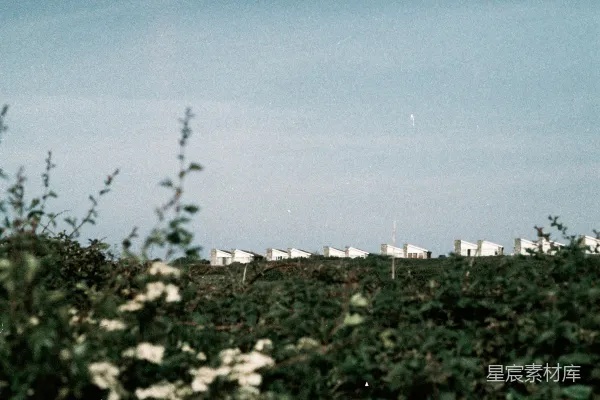 高清摄影 田野与房屋的静谧场景
