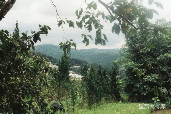 高清摄影 山间绿意盎然的自然风景