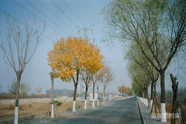 高清摄影 秋日的乡间小路