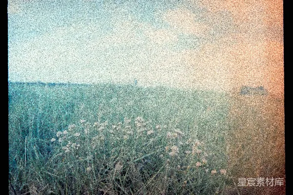 高清摄影 晨曦中的田野