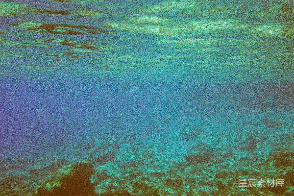 高清摄影 清澈的海底世界