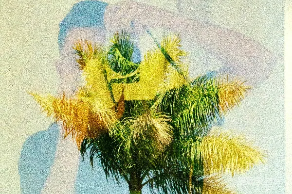 高清摄影 棕榈树与抽象人影的叠加