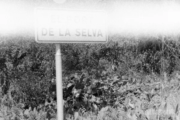 高清摄影 El Papi de la Selva限速标志