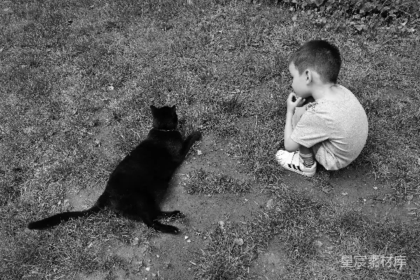 高清摄影 静默的对话：男孩与黑猫