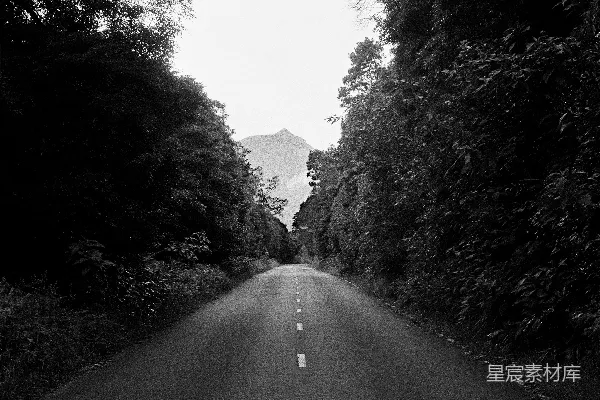 高清摄影 森林中的蜿蜒公路