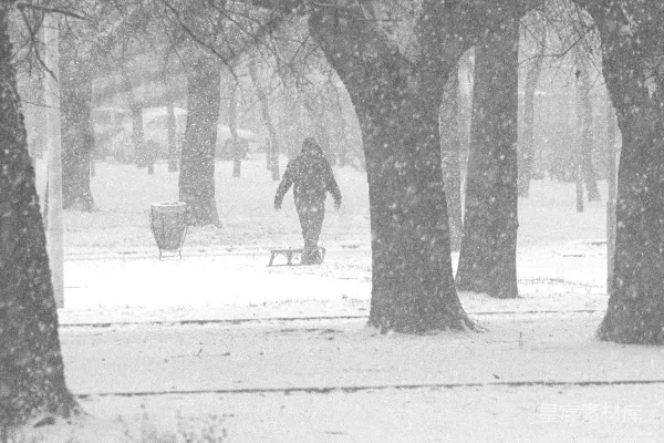 高清摄影 雪中漫步