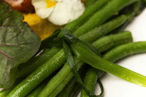 高清摄影 芦笋配切片鸡肉和食用花朵装饰。