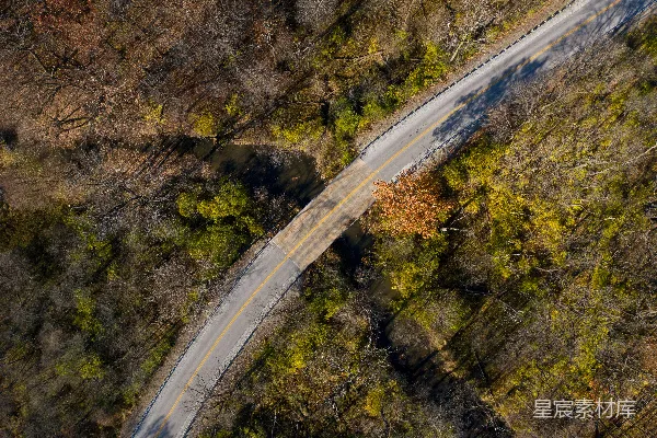 高清摄影 森林中的蜿蜒道路