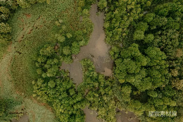 高清摄影 森林中的河流俯瞰图