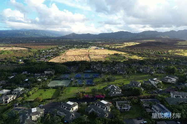 高清摄影 热带住宅区航拍图