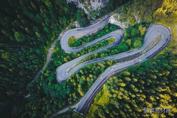 高清摄影 森林中的蜿蜒山路