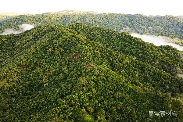 高清摄影 云雾缭绕的山间森林