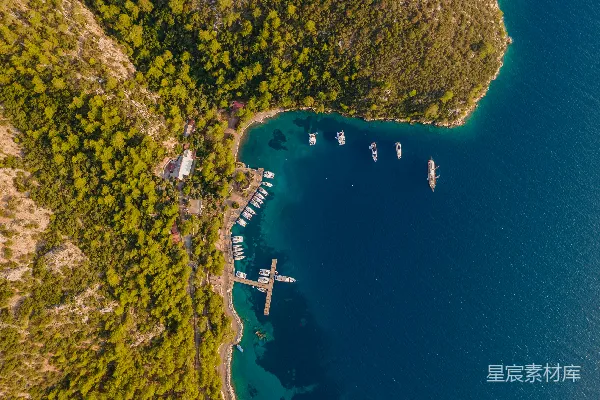 高清摄影 绿意盎然的海湾航拍