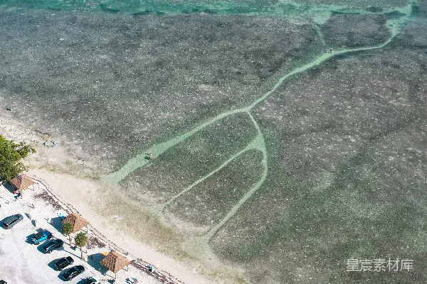 高清摄影 海滩上的车流与珊瑚礁