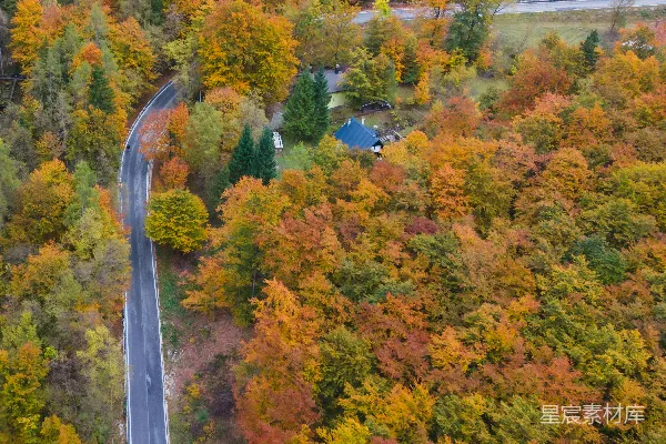 高清摄影 秋日山林中的蜿蜒公路
