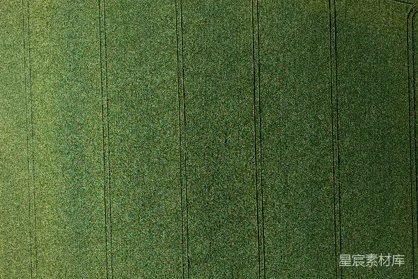 高清摄影 航拍绿色田野