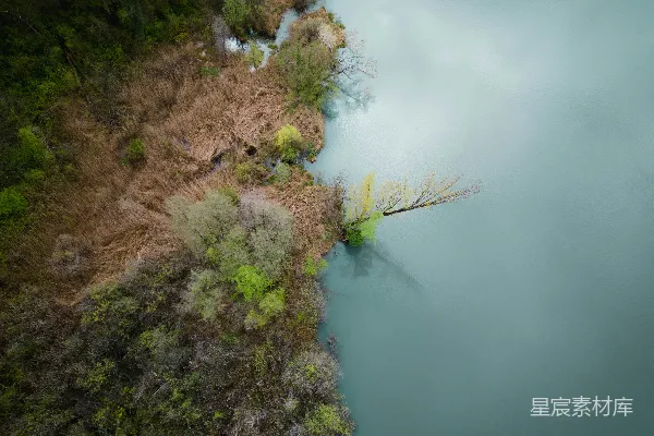 高清摄影 湖畔的自然风光