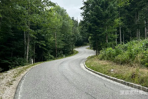 高清摄影 森林中的蜿蜒道路