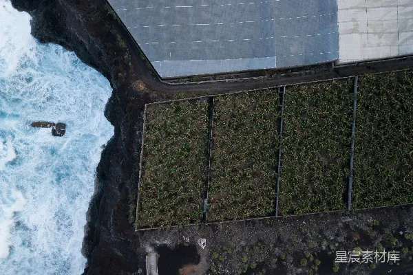 高清摄影 悬崖边的绿色植物与海浪
