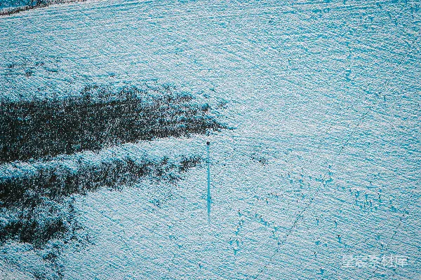 高清摄影 雪地上的鸟群飞过
