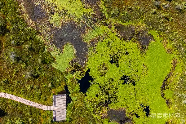 高清摄影 湿地上的木栈道