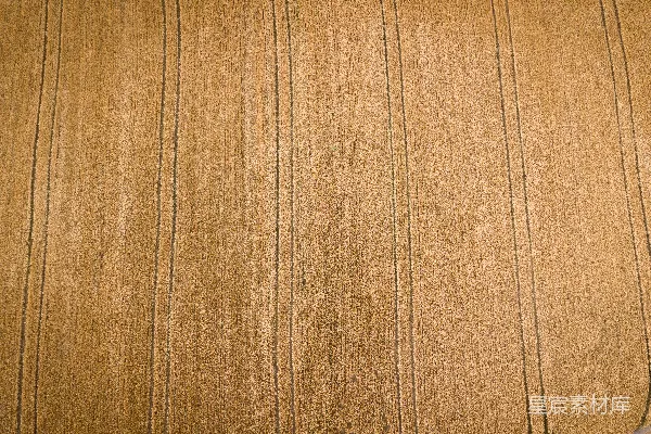 高清摄影 航拍金黄麦田