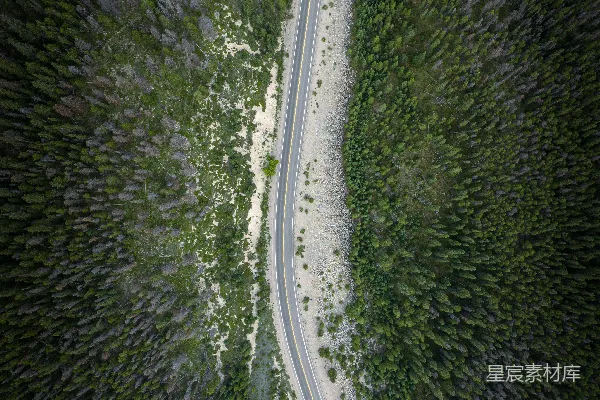高清摄影 森林中的蜿蜒公路