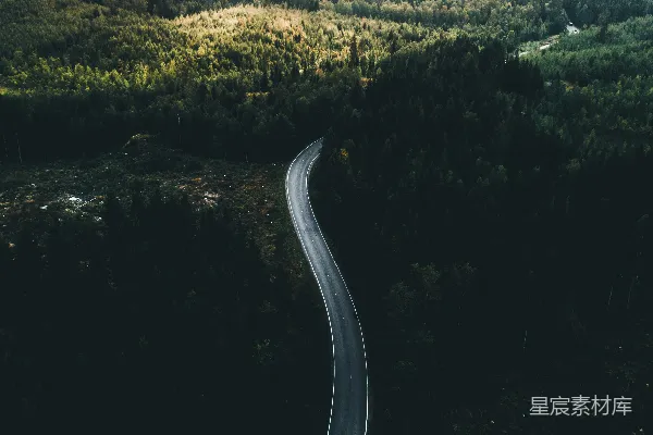 高清摄影 森林中的蜿蜒公路