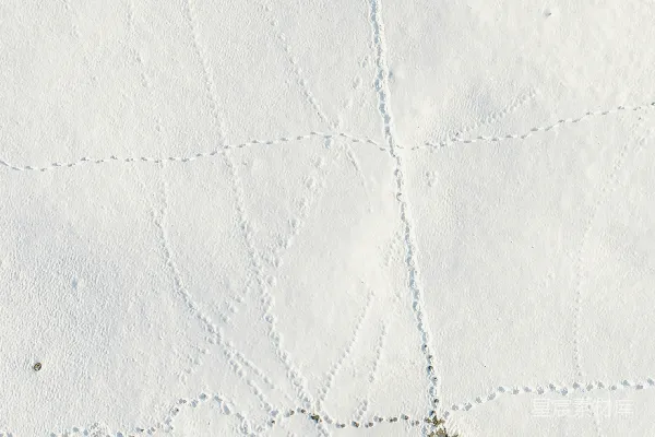 高清摄影 雪地上的足迹与灯塔