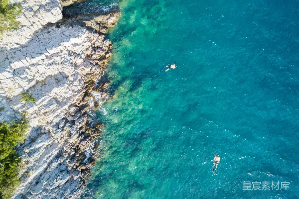 高清摄影 海中浮游的自然美景