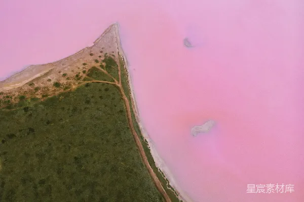 高清摄影 粉红湖畔的自然奇观