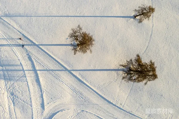 高清摄影 雪地里的足迹与树木
