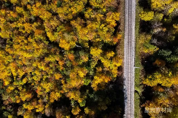 高清摄影 秋日森林中的铁路