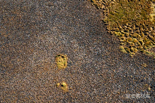 高清摄影 火山熔岩与苔藓的交界