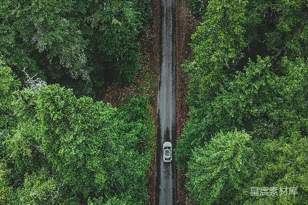 高清摄影 森林中的孤独旅程