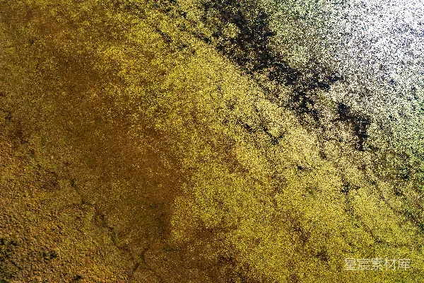 高清摄影 抽象纹理背景