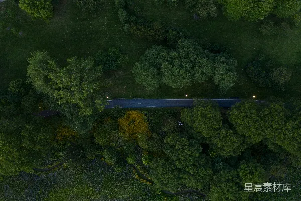 高清摄影 森林中的道路