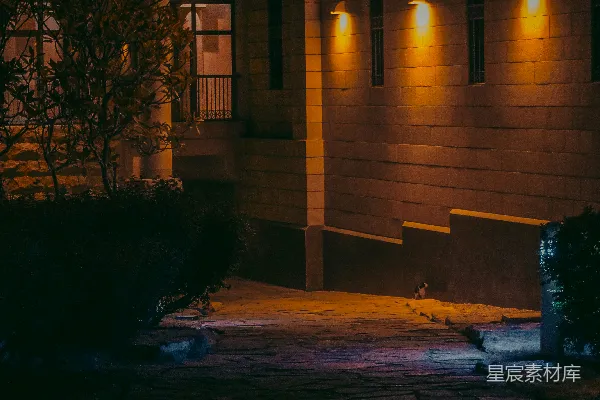 高清摄影 夜晚的石板路与古建筑
