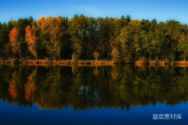 高清摄影 秋日湖畔的宁静风景