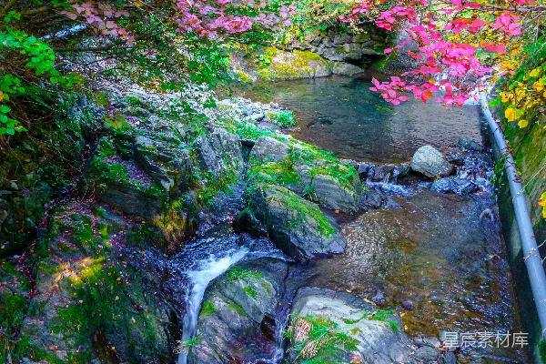 高清摄影 秋日溪流