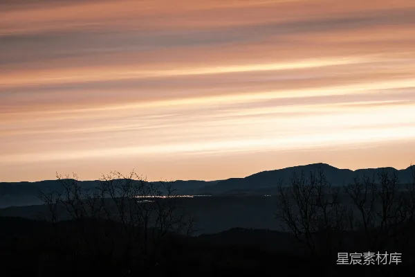 高清摄影 夕阳下的枯树轮廓