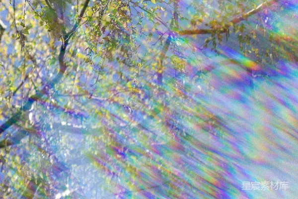 高清摄影 彩虹光束与枝叶交织的梦幻场景