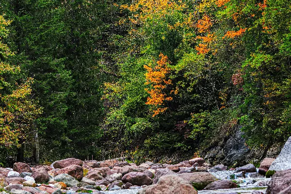 高清摄影 秋日山溪