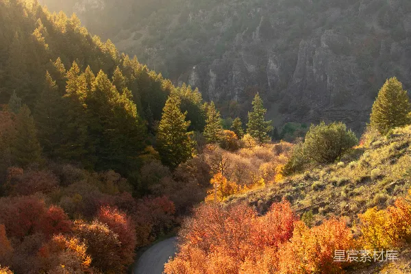 高清摄影 秋日山间小路