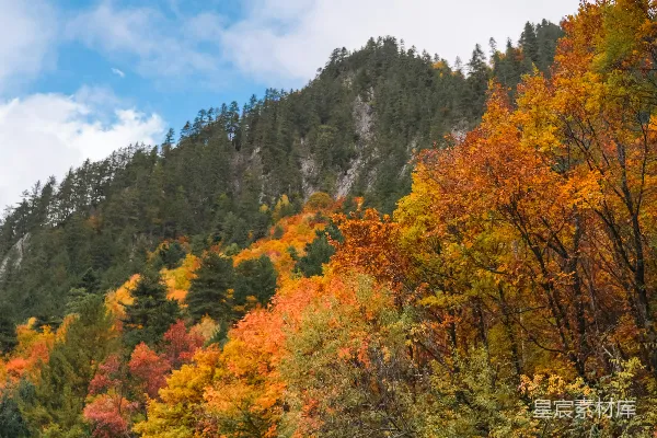 高清摄影 秋日山林的色彩盛宴