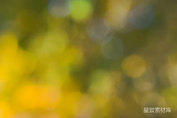 高清摄影 朦胧的自然光斑