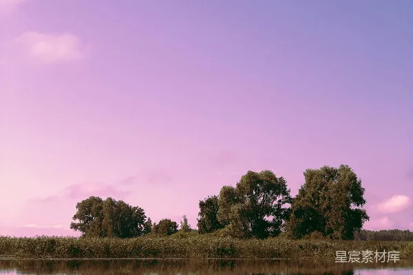 高清摄影 紫色黄昏下的静谧湖景